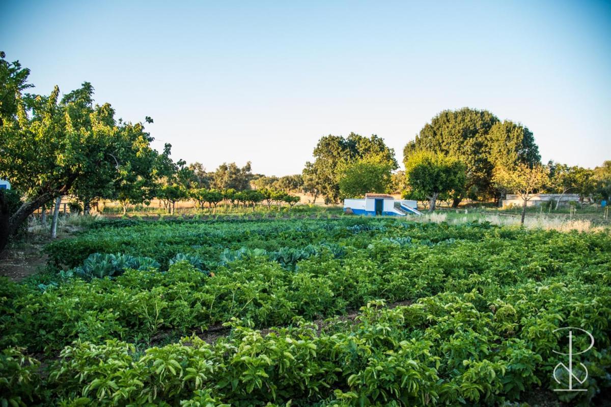 AlcáçovasQuinta Do Poco Novo别墅 外观 照片
