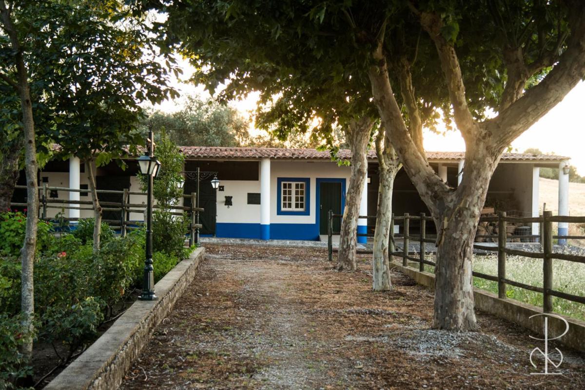 AlcáçovasQuinta Do Poco Novo别墅 外观 照片