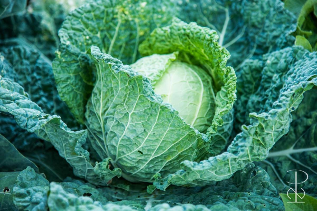 AlcáçovasQuinta Do Poco Novo别墅 外观 照片